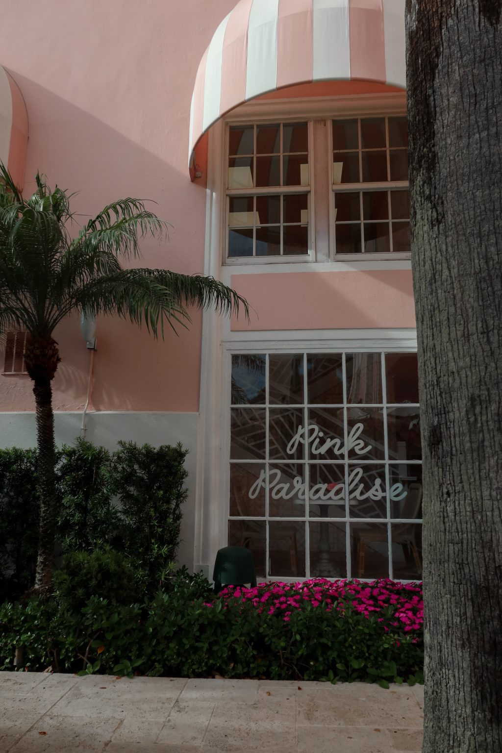 The Colony Hotel Palm Beach pink hotel lunch outdoor dining courtyard